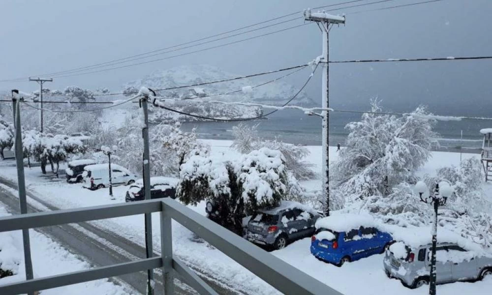 Ντύθηκε στα "άσπρα" η Λήμνος - Tα χιόνια έφθασαν μέχρι την θάλασσα